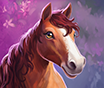 portrait_season_dreams_xxv_f1-ccc14165377bb1277293f7cafab0194f.png